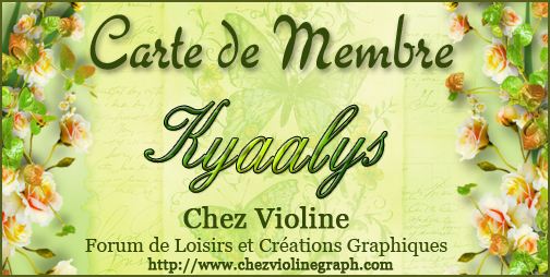 Image redimensionnée